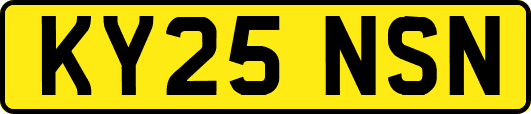 KY25NSN