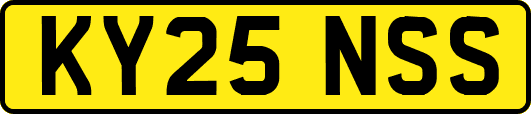 KY25NSS