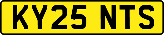 KY25NTS