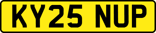 KY25NUP