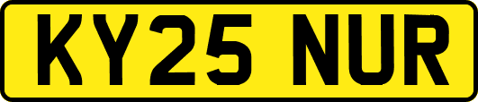 KY25NUR