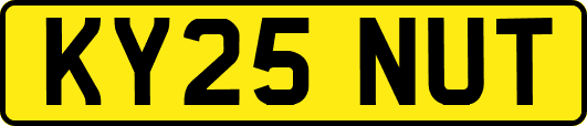 KY25NUT