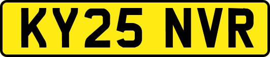 KY25NVR
