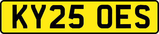 KY25OES