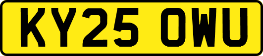 KY25OWU