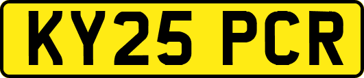 KY25PCR