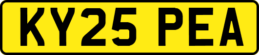 KY25PEA