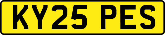 KY25PES