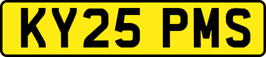 KY25PMS