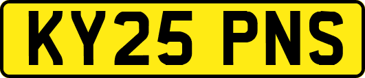 KY25PNS