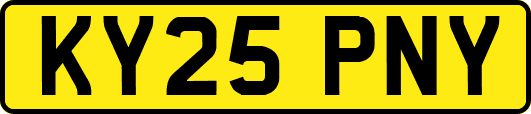 KY25PNY