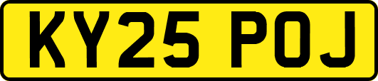 KY25POJ