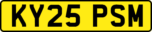 KY25PSM