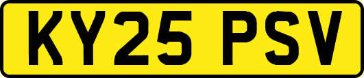 KY25PSV
