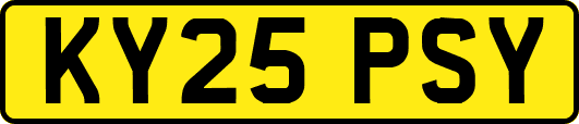 KY25PSY