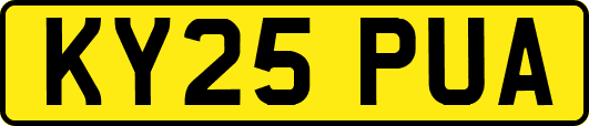 KY25PUA
