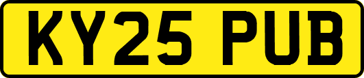 KY25PUB