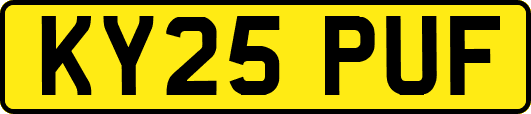 KY25PUF