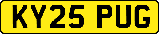 KY25PUG