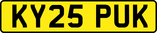 KY25PUK