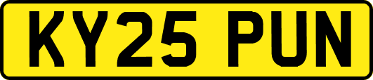 KY25PUN