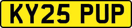 KY25PUP