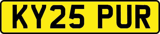 KY25PUR