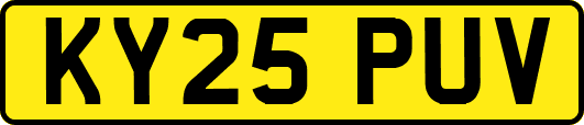 KY25PUV
