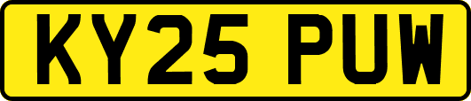 KY25PUW