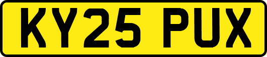 KY25PUX