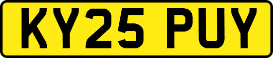 KY25PUY