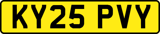 KY25PVY