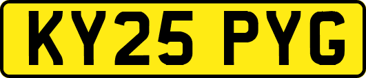 KY25PYG