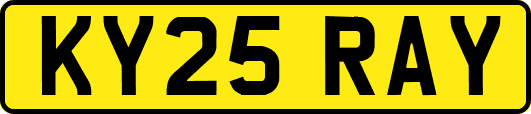 KY25RAY
