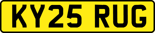 KY25RUG