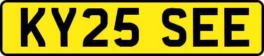 KY25SEE