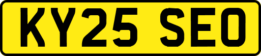 KY25SEO