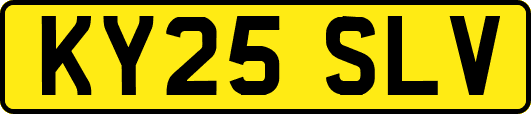 KY25SLV