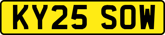 KY25SOW