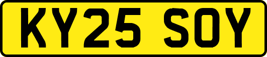 KY25SOY