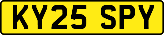 KY25SPY