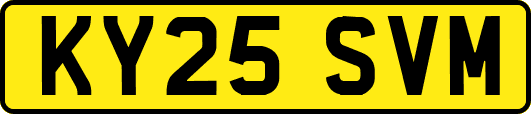 KY25SVM