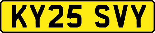 KY25SVY