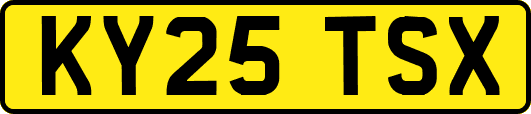 KY25TSX