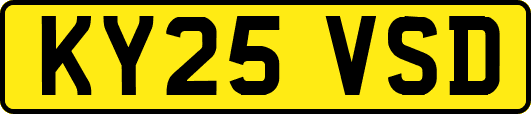 KY25VSD