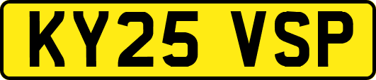 KY25VSP