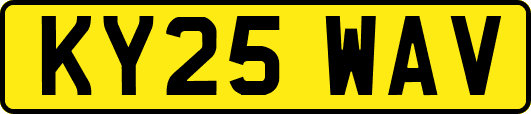 KY25WAV