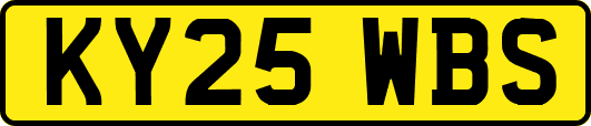 KY25WBS