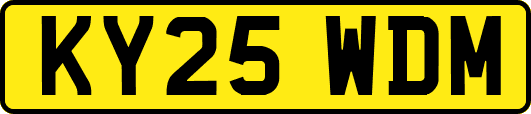 KY25WDM