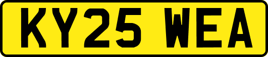 KY25WEA